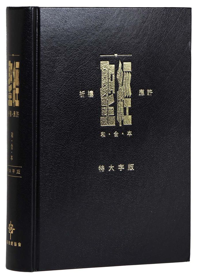 聖經祈禱應許特大字版-硬面