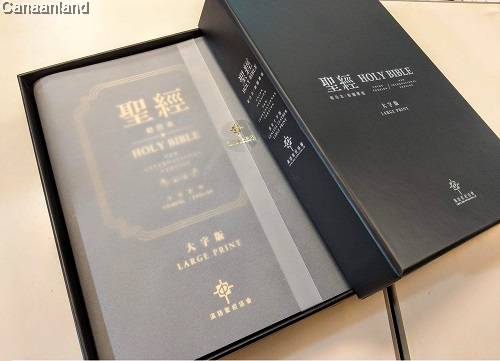 和合本-NIV-繁體大字版真皮
