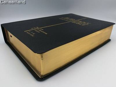 聖經-NIV-和合本大字皮面-簡體
