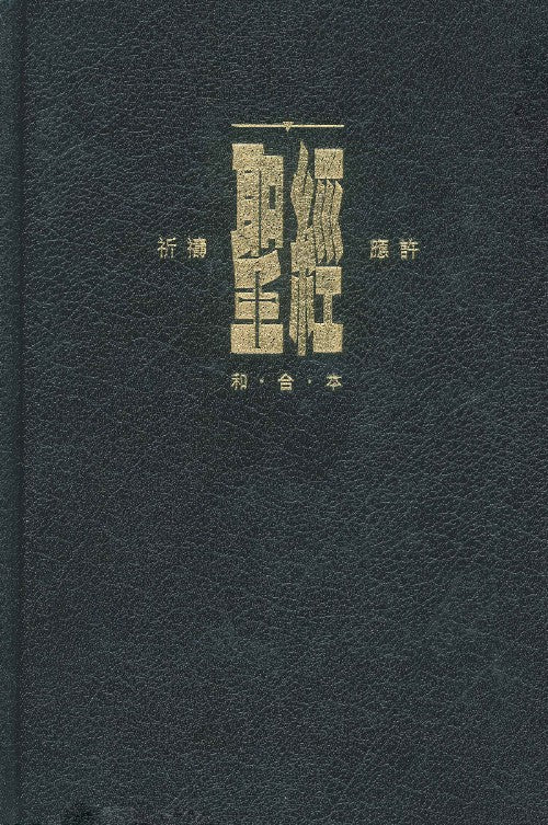 聖經祈禱應許版繁-標準本