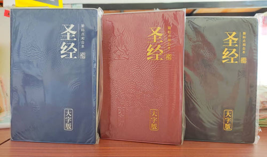 聖經-簡體特大字版-黑色
