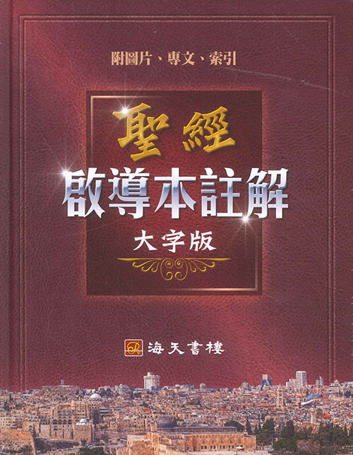 啟導本註解大字版