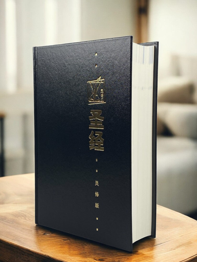 聖經靈修版(簡體輕便本精裝)