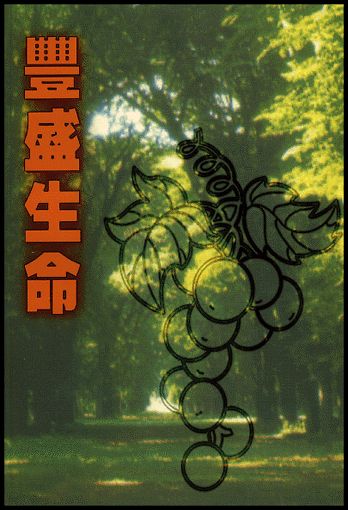 豐盛生命-十二週栽培材料