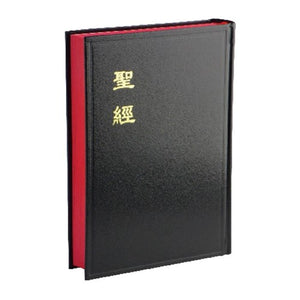 中文聖經神版硬面大CU63A