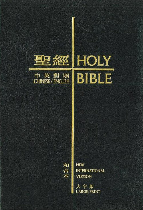 聖經NIV和合本大字皮面
