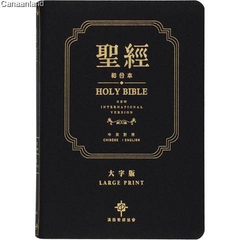 和合本-NIV-繁體大字版真皮