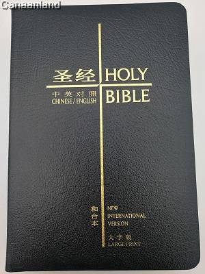 聖經-NIV-和合本大字皮面-簡體