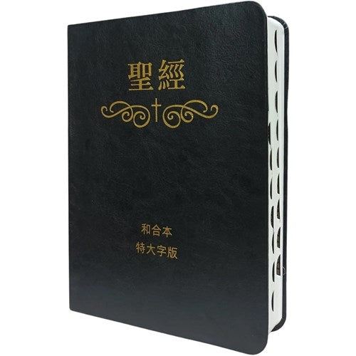 特大字版聖經-拇指索引皮面簡體